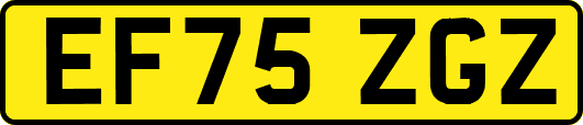 EF75ZGZ