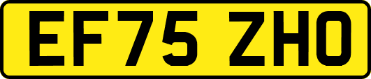 EF75ZHO