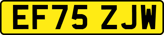 EF75ZJW