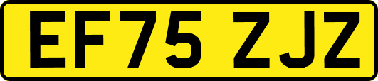 EF75ZJZ