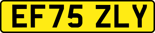 EF75ZLY