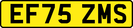 EF75ZMS