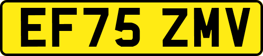 EF75ZMV