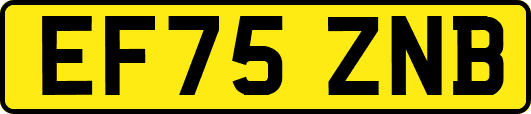 EF75ZNB