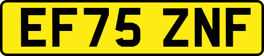 EF75ZNF