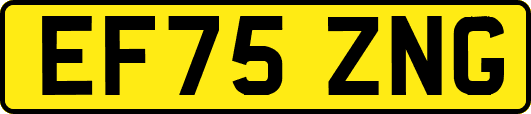 EF75ZNG