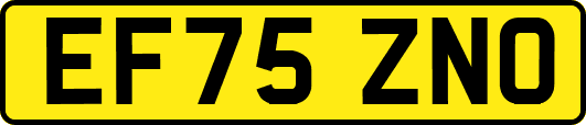 EF75ZNO
