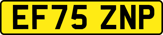 EF75ZNP