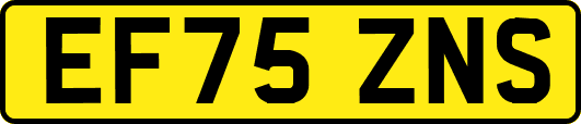 EF75ZNS