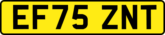 EF75ZNT