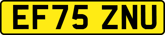 EF75ZNU