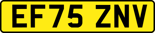 EF75ZNV