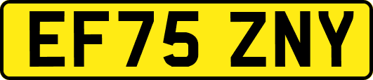 EF75ZNY
