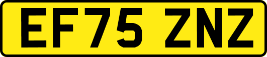 EF75ZNZ
