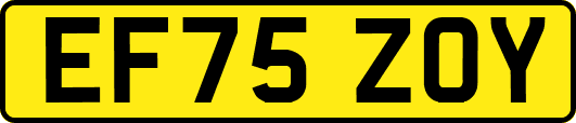 EF75ZOY