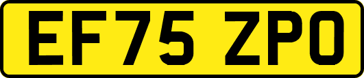 EF75ZPO