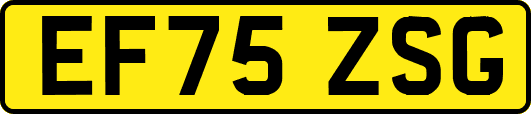 EF75ZSG