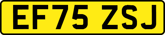 EF75ZSJ