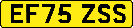 EF75ZSS