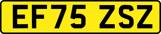 EF75ZSZ