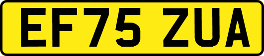EF75ZUA