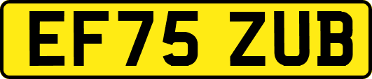 EF75ZUB