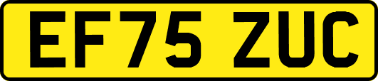 EF75ZUC