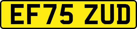 EF75ZUD
