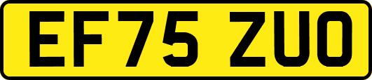 EF75ZUO