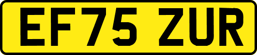 EF75ZUR