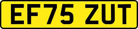 EF75ZUT