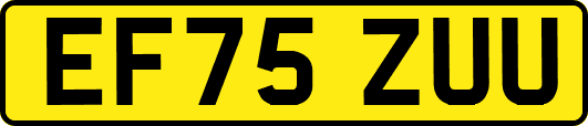 EF75ZUU