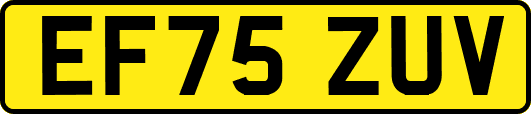 EF75ZUV