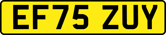 EF75ZUY