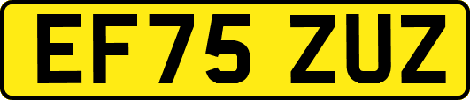 EF75ZUZ