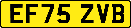 EF75ZVB