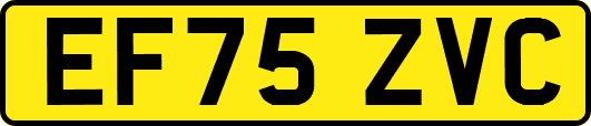 EF75ZVC