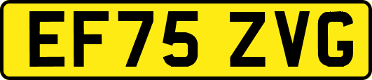 EF75ZVG