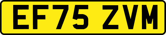 EF75ZVM