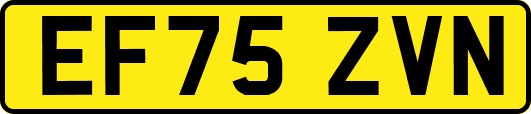 EF75ZVN