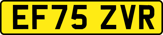 EF75ZVR