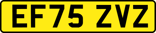 EF75ZVZ