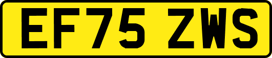 EF75ZWS