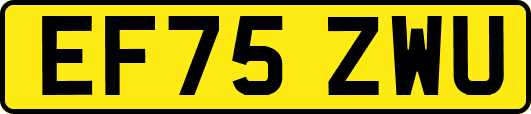 EF75ZWU