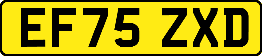 EF75ZXD