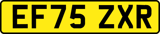 EF75ZXR