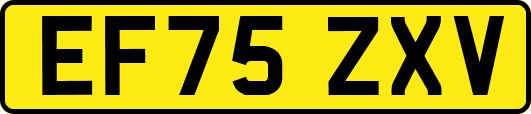 EF75ZXV