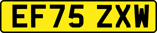 EF75ZXW