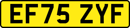 EF75ZYF