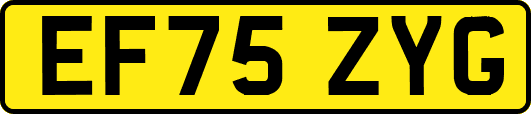 EF75ZYG
